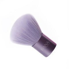Dust Brush